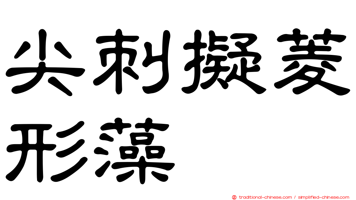 尖刺擬菱形藻