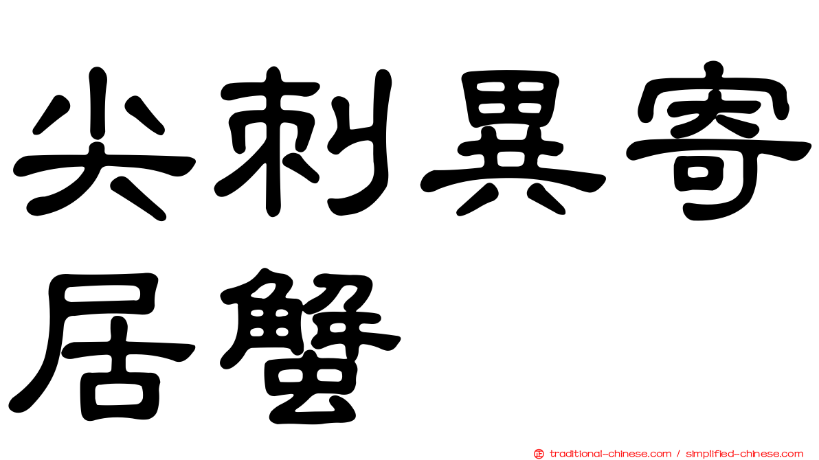尖刺異寄居蟹