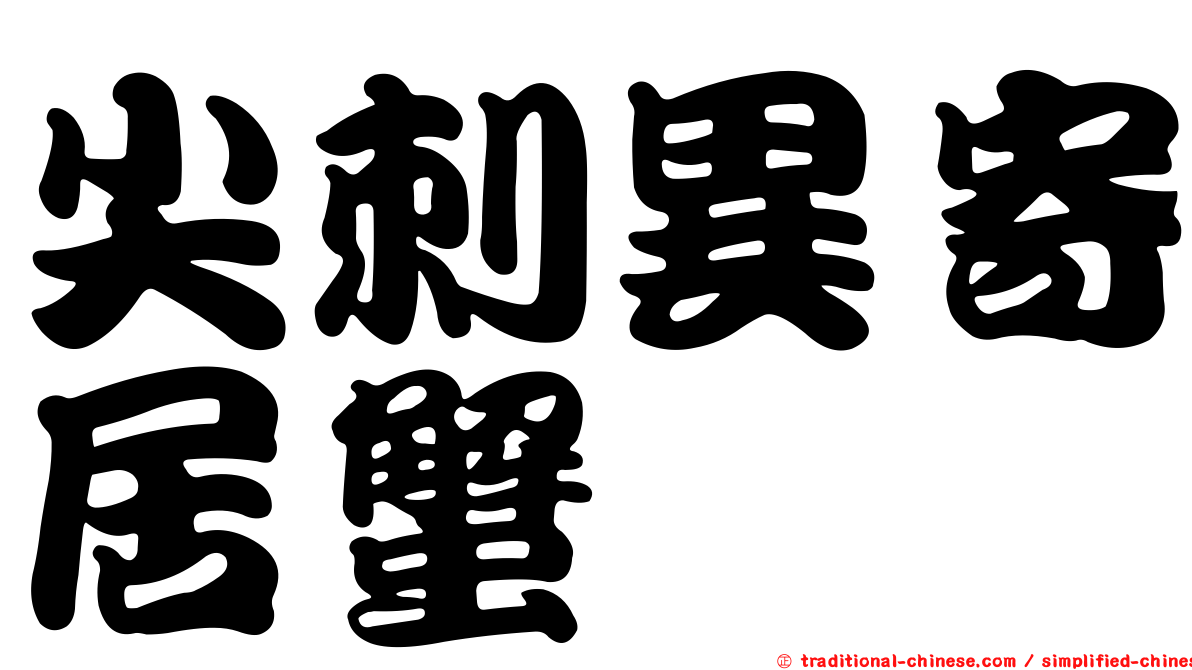 尖刺異寄居蟹