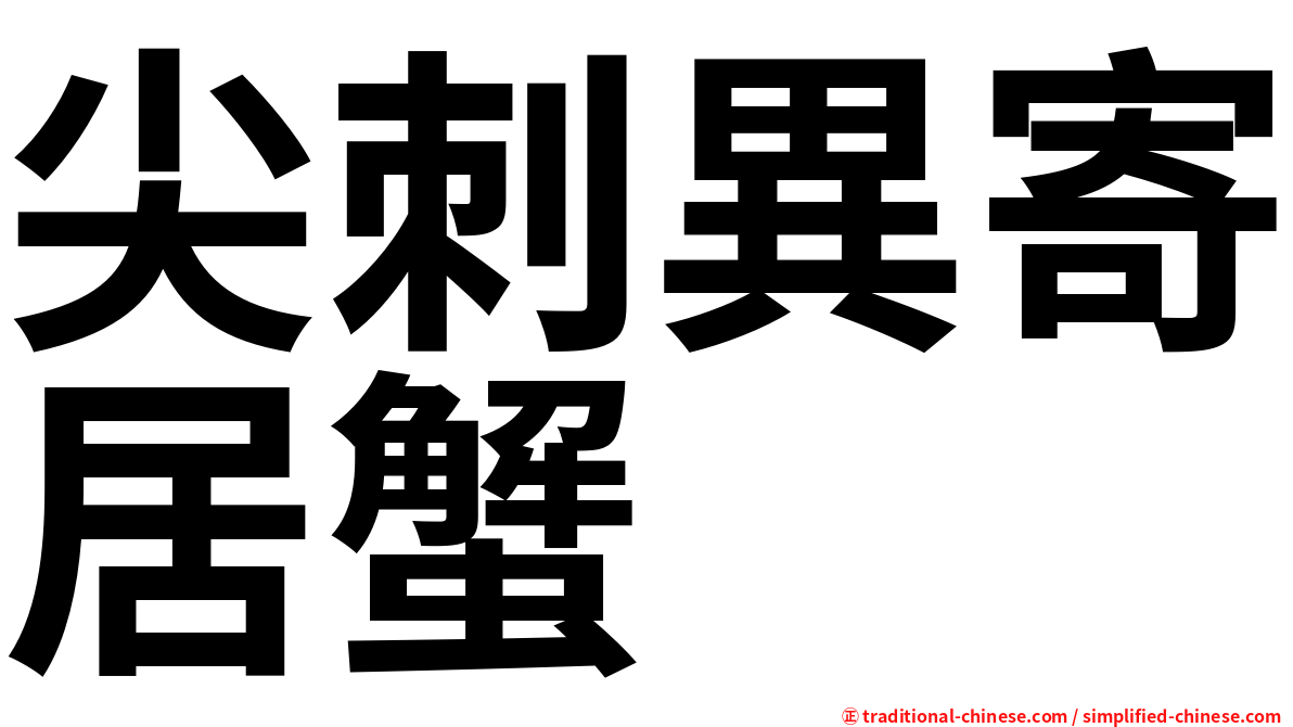 尖刺異寄居蟹