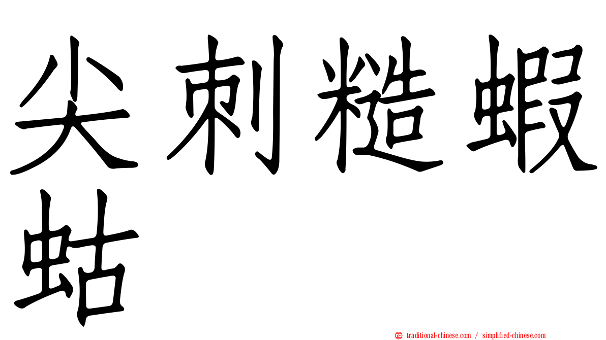 尖刺糙蝦蛄