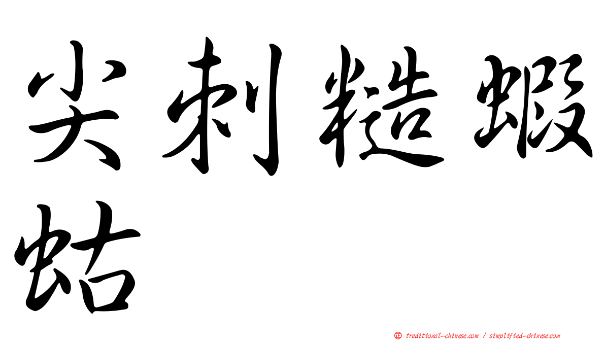 尖刺糙蝦蛄