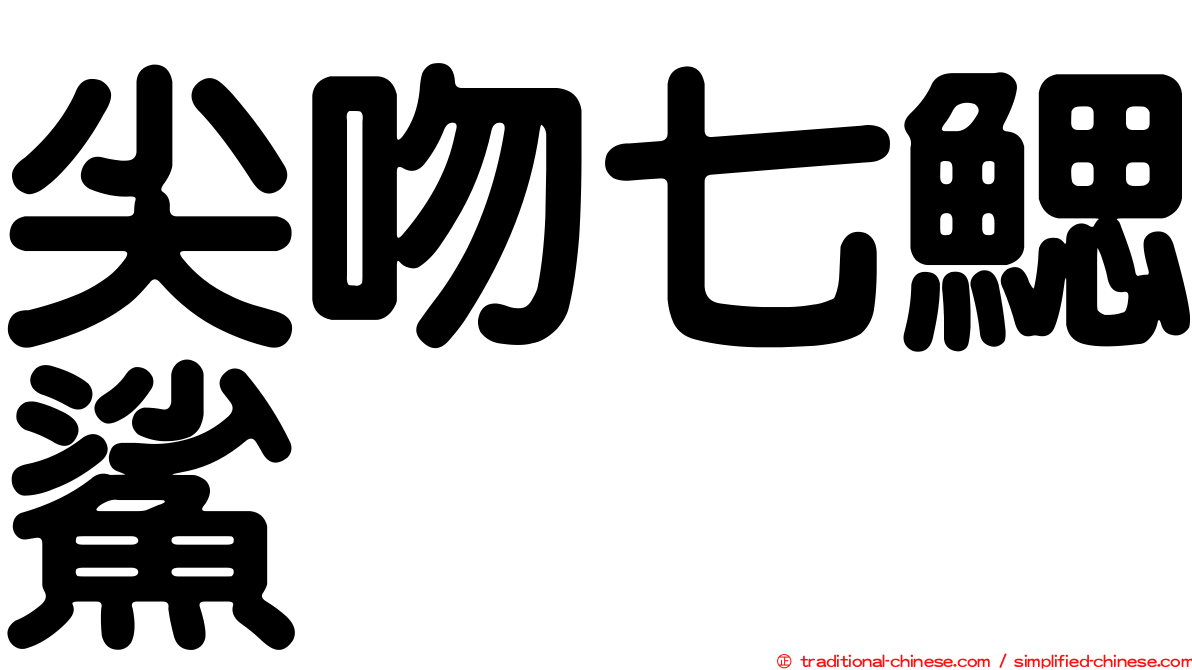 尖吻七鰓鯊