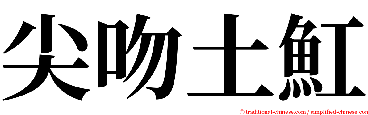 尖吻土魟 serif font
