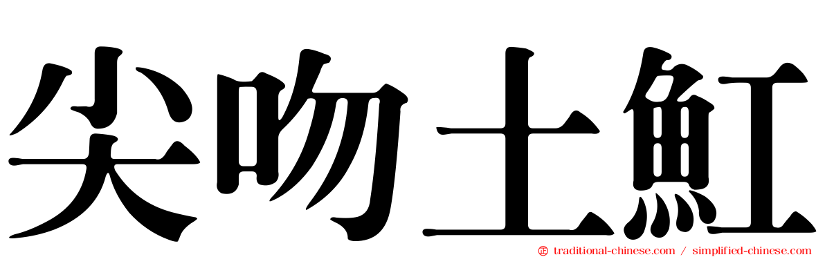 尖吻土魟