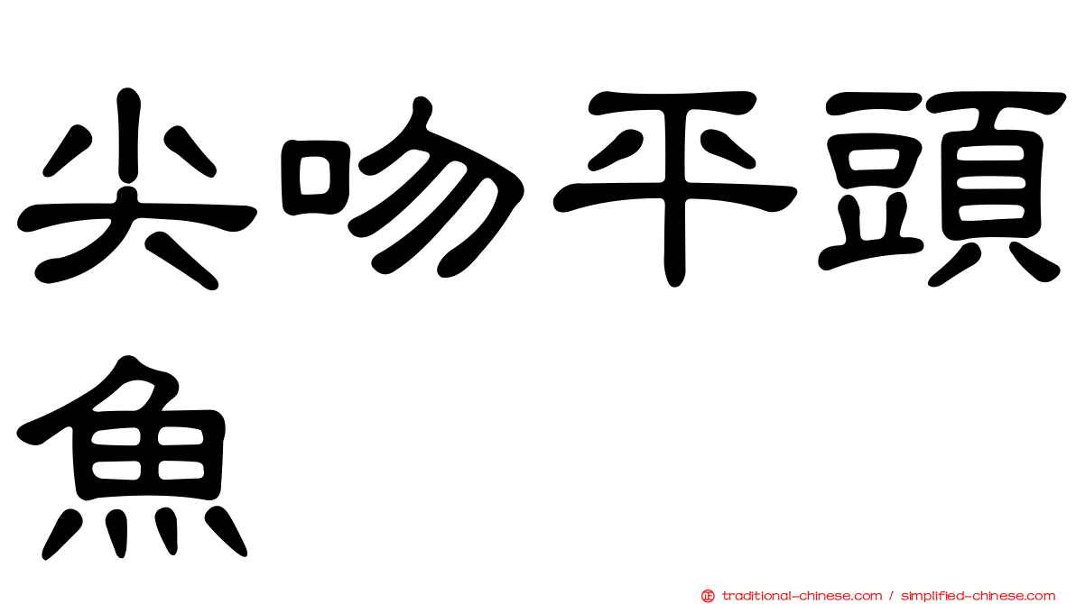 尖吻平頭魚