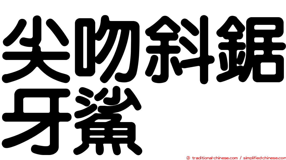 尖吻斜鋸牙鯊