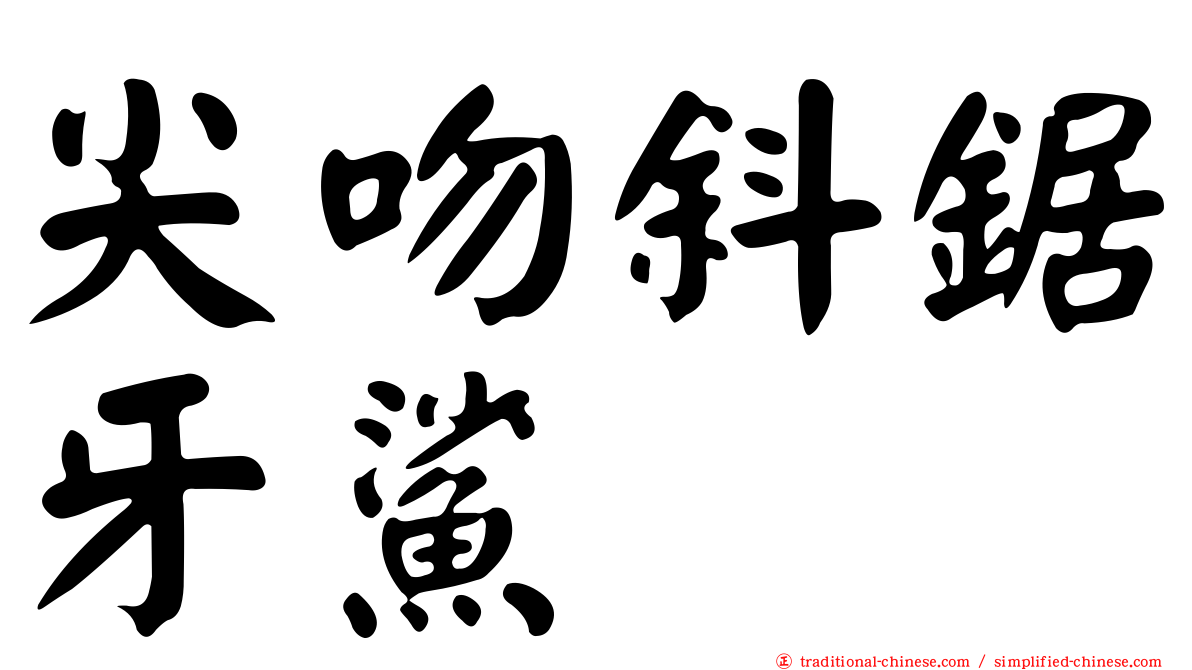 尖吻斜鋸牙鯊