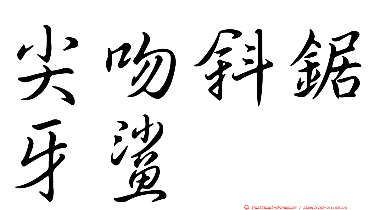 尖吻斜鋸牙鯊