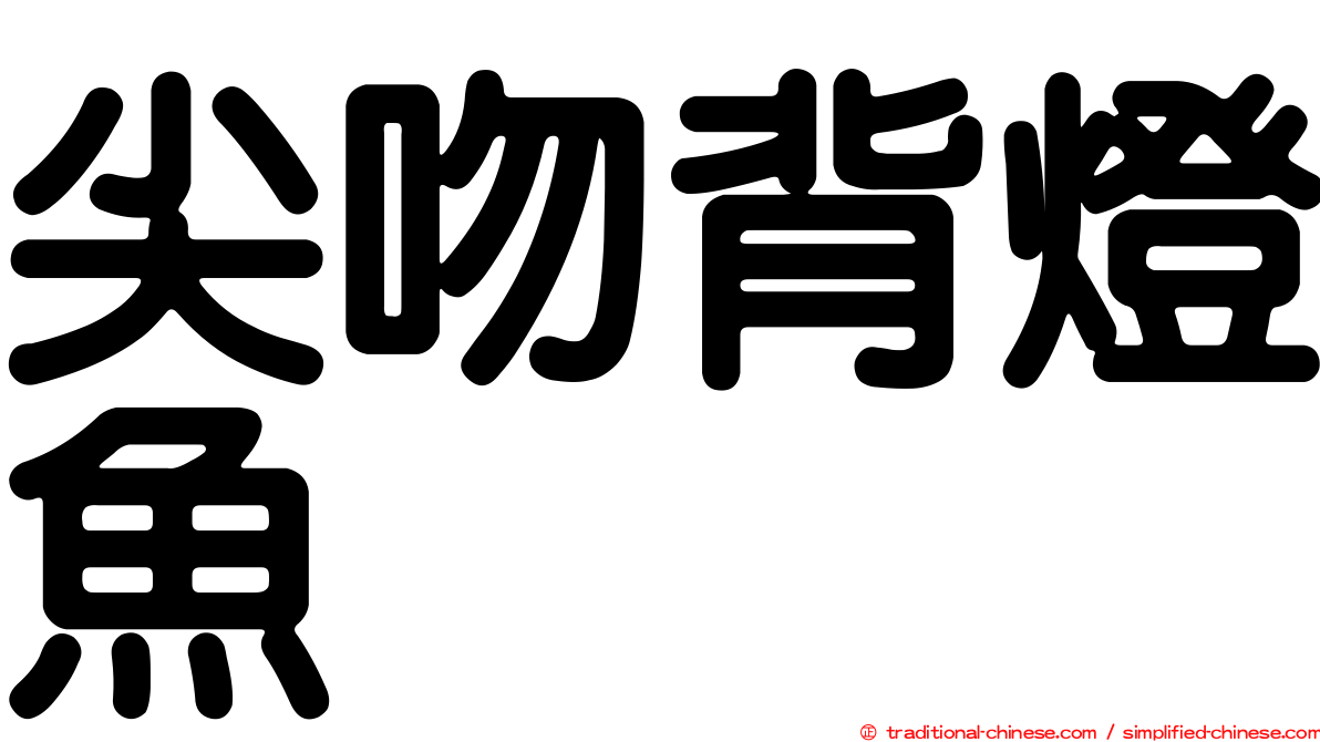 尖吻背燈魚
