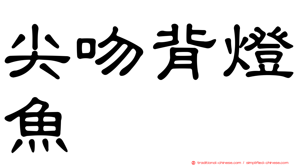 尖吻背燈魚