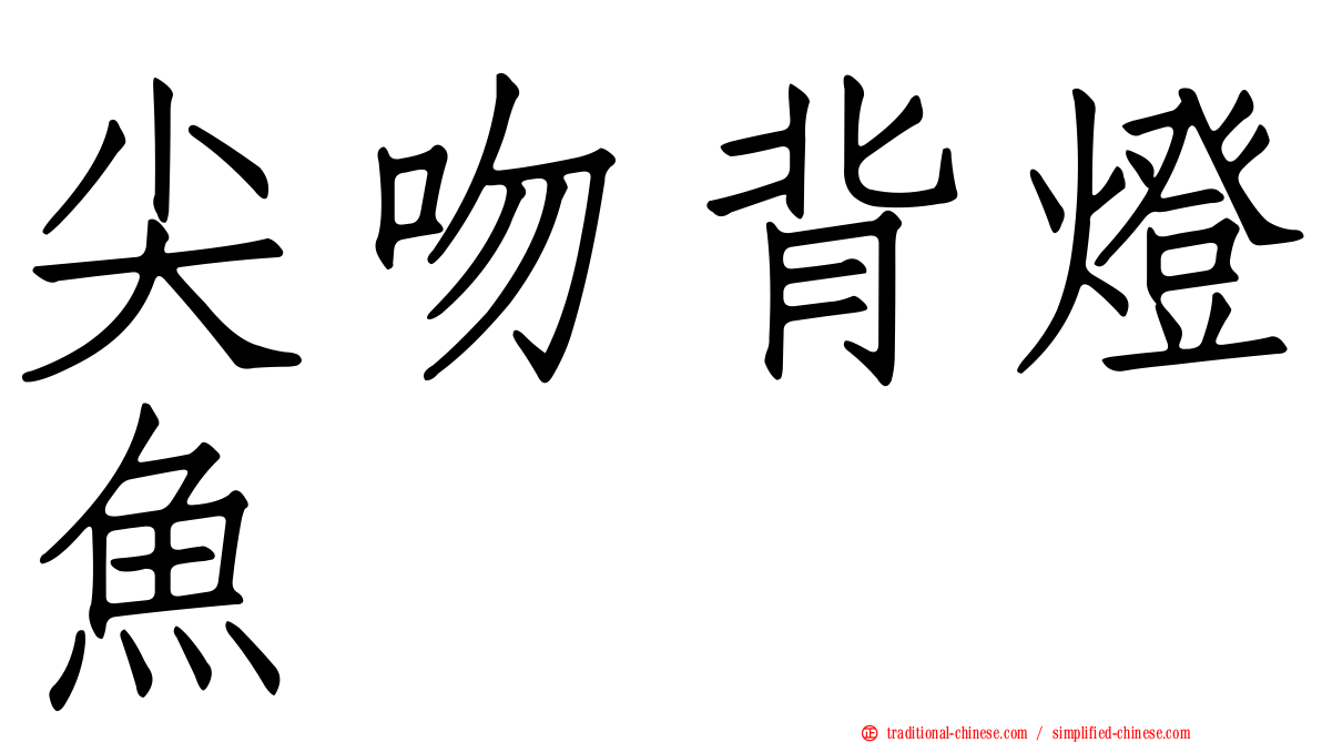 尖吻背燈魚