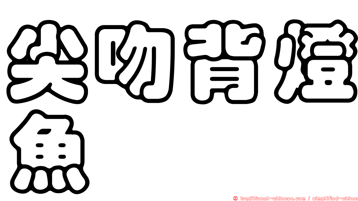 尖吻背燈魚