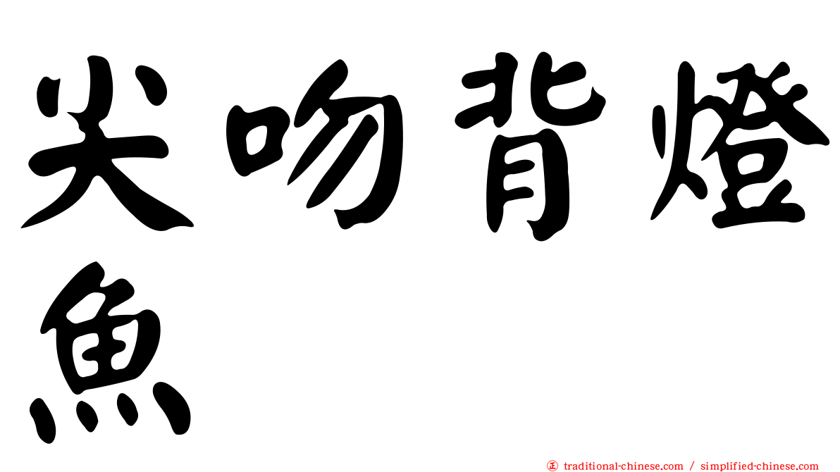 尖吻背燈魚
