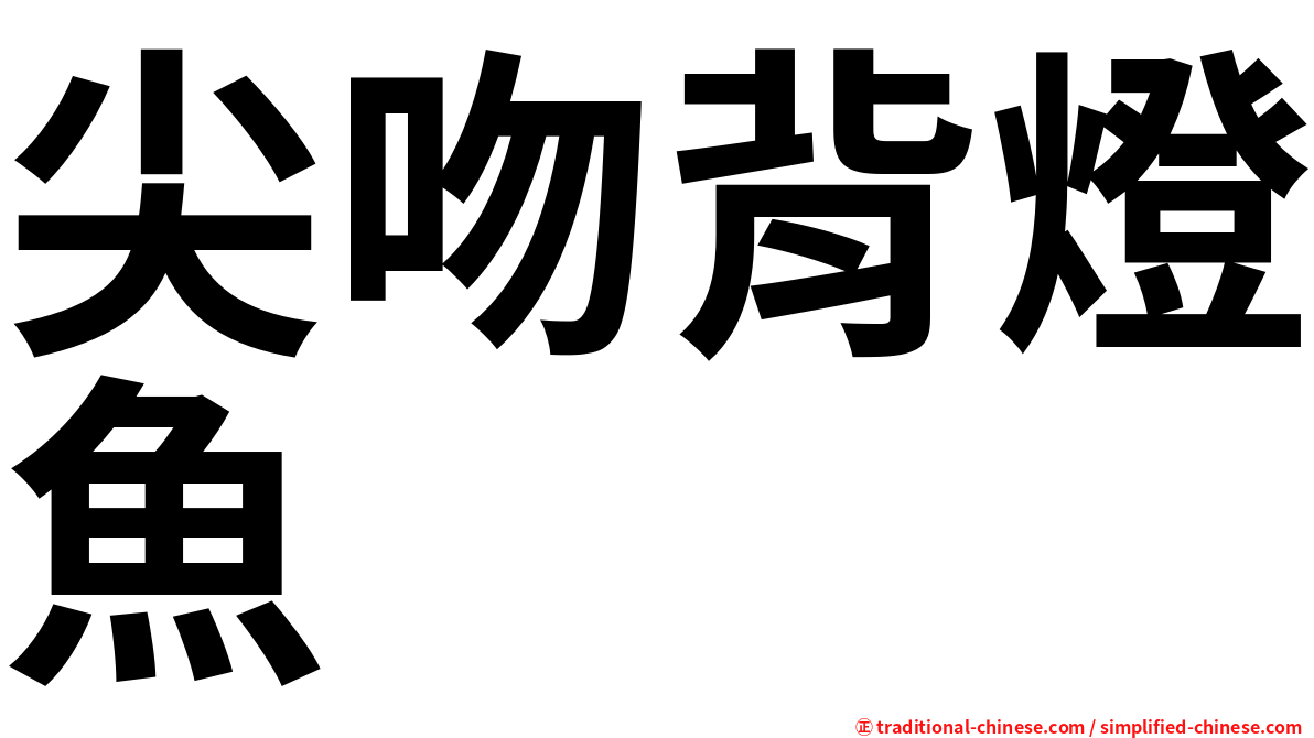 尖吻背燈魚