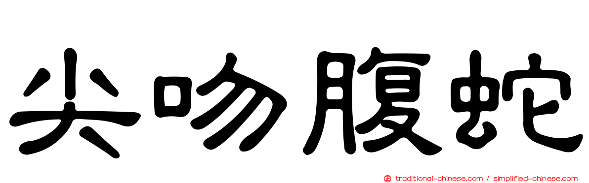 尖吻腹蛇
