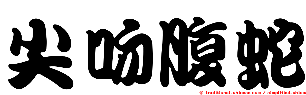 尖吻腹蛇