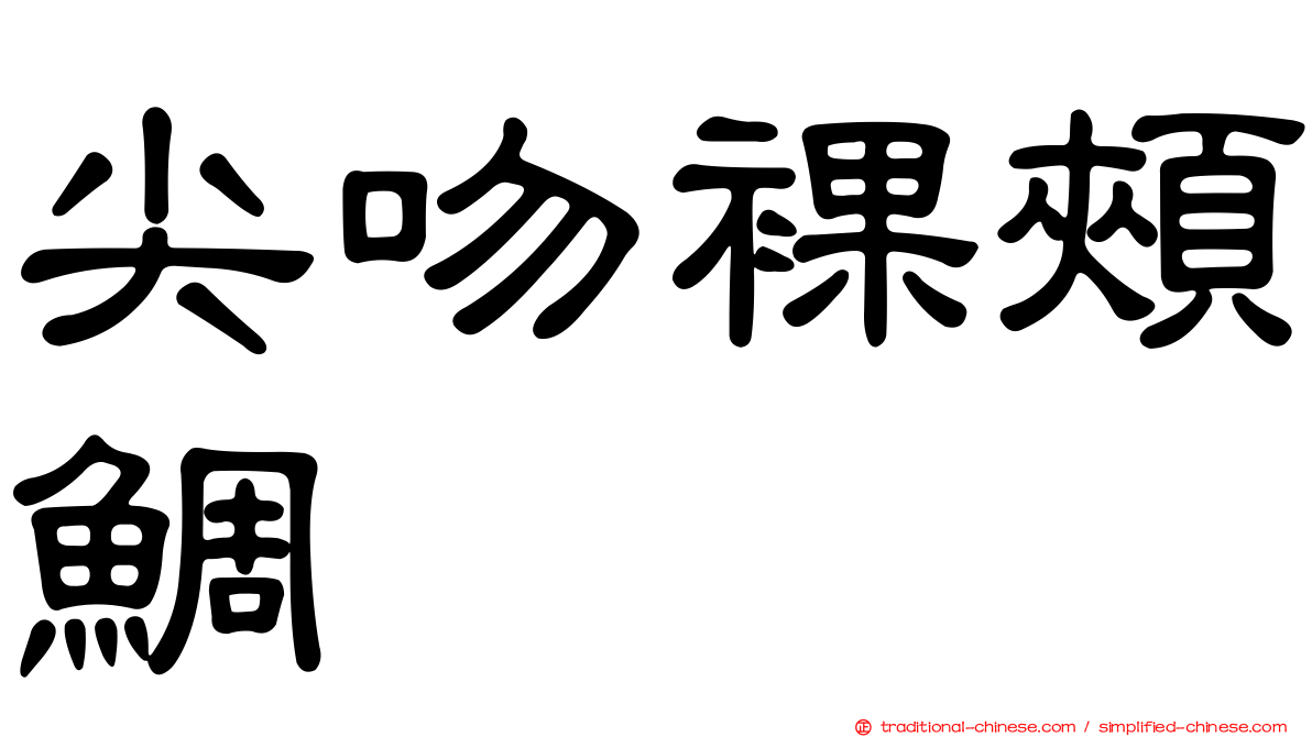 尖吻裸頰鯛
