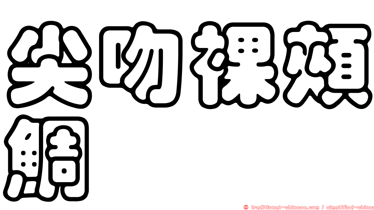 尖吻裸頰鯛
