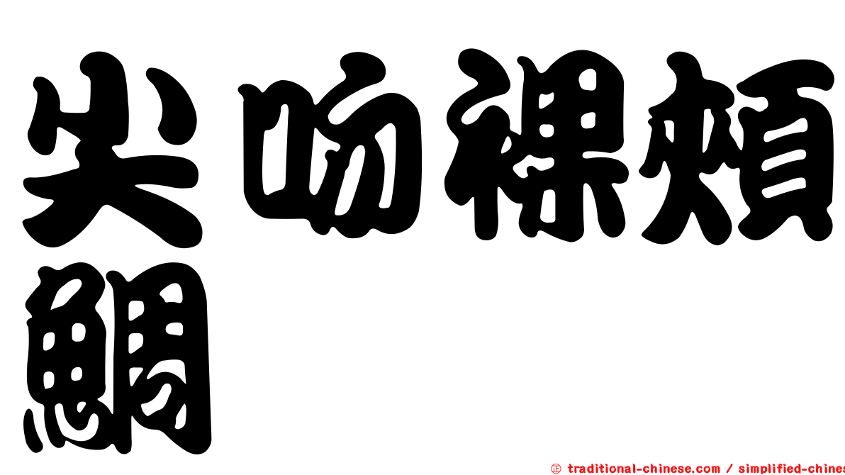 尖吻裸頰鯛