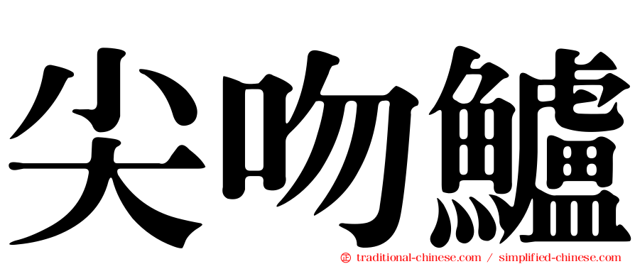 尖吻鱸
