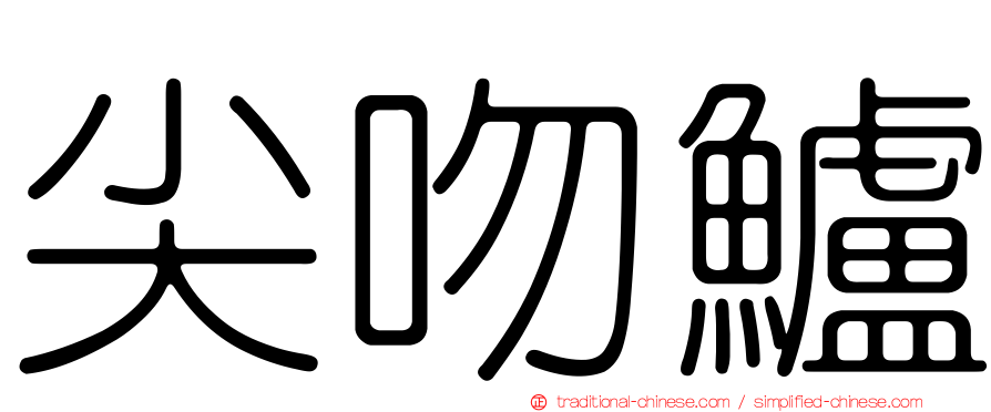 尖吻鱸
