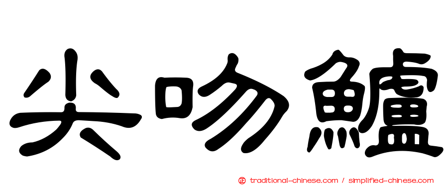 尖吻鱸
