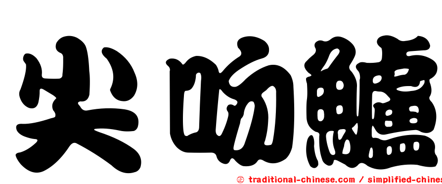 尖吻鱸