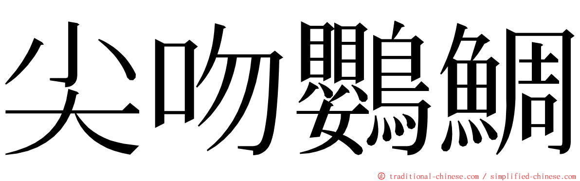 尖吻鸚鯛 ming font