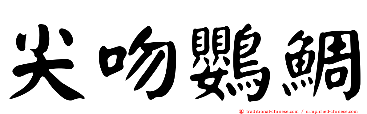 尖吻鸚鯛