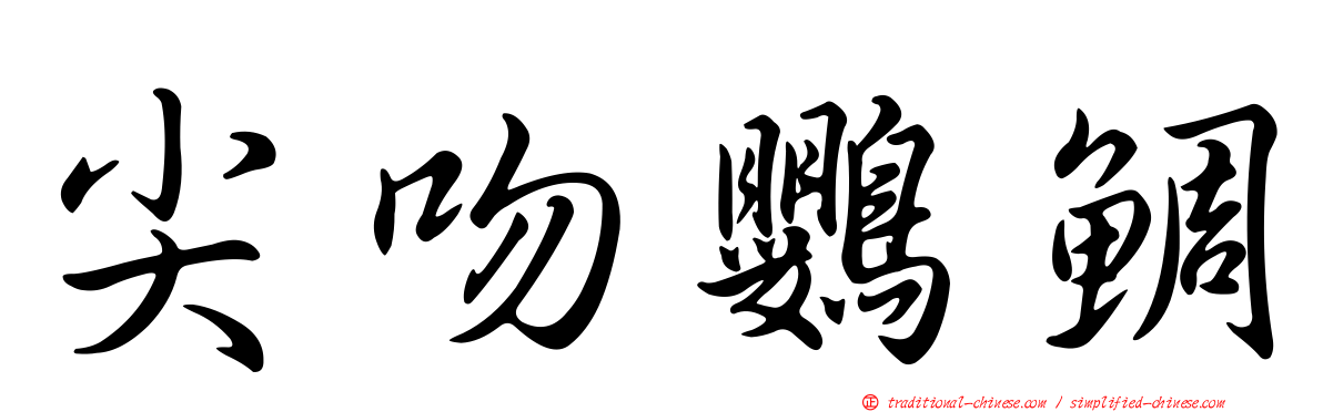 尖吻鸚鯛