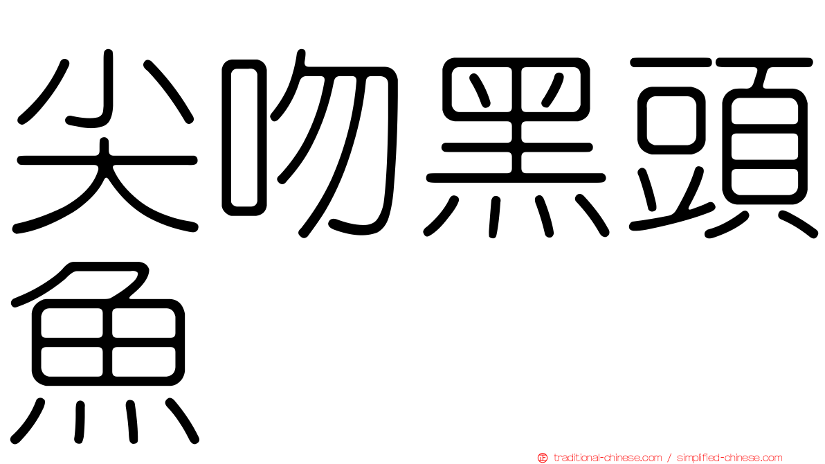 尖吻黑頭魚