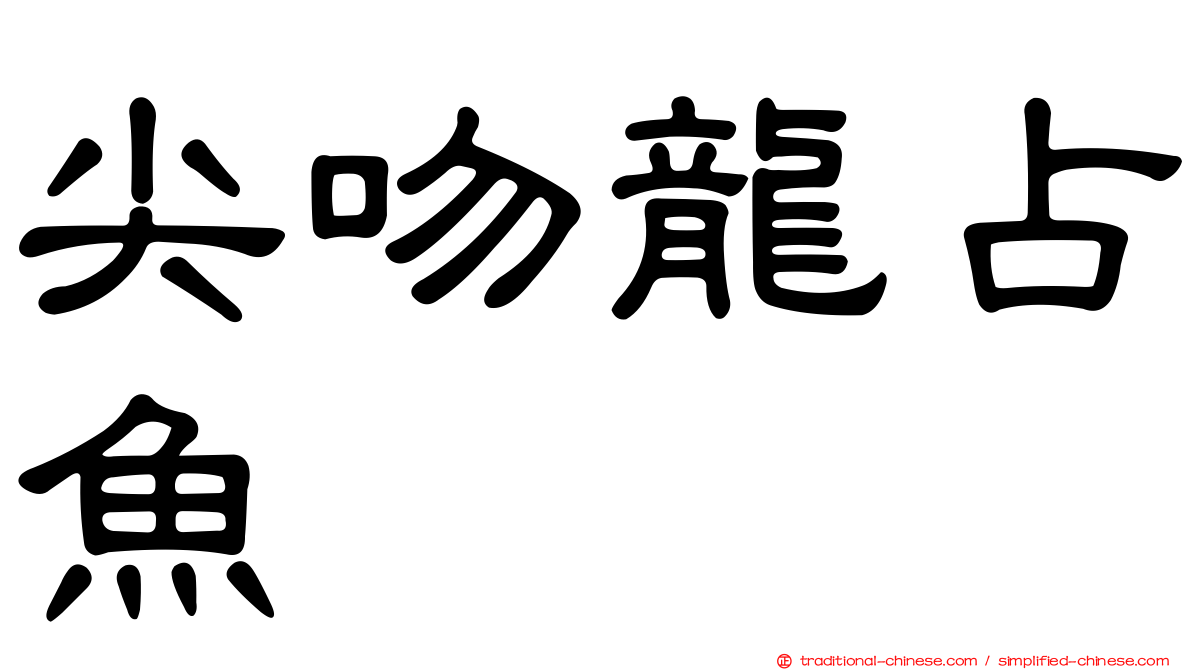尖吻龍占魚