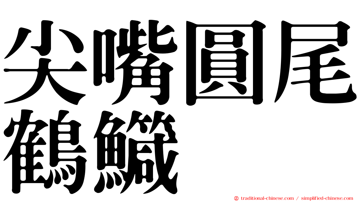 尖嘴圓尾鶴鱵