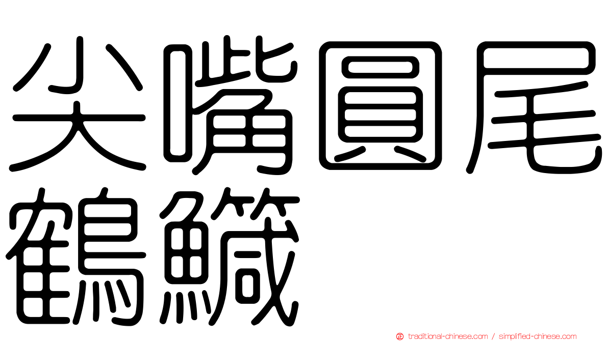 尖嘴圓尾鶴鱵