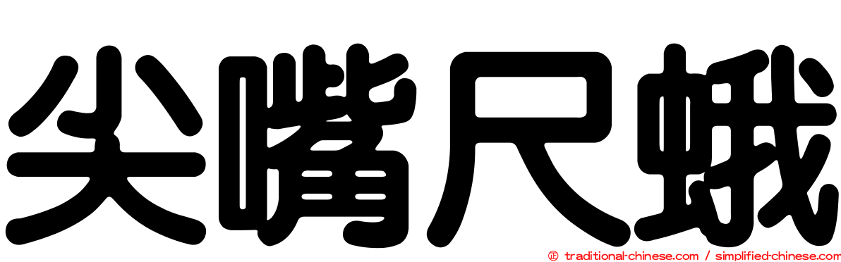 尖嘴尺蛾