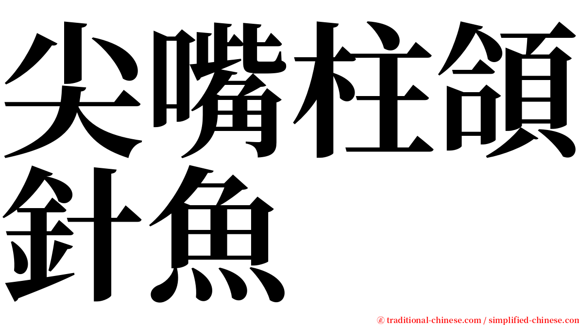 尖嘴柱頜針魚 serif font