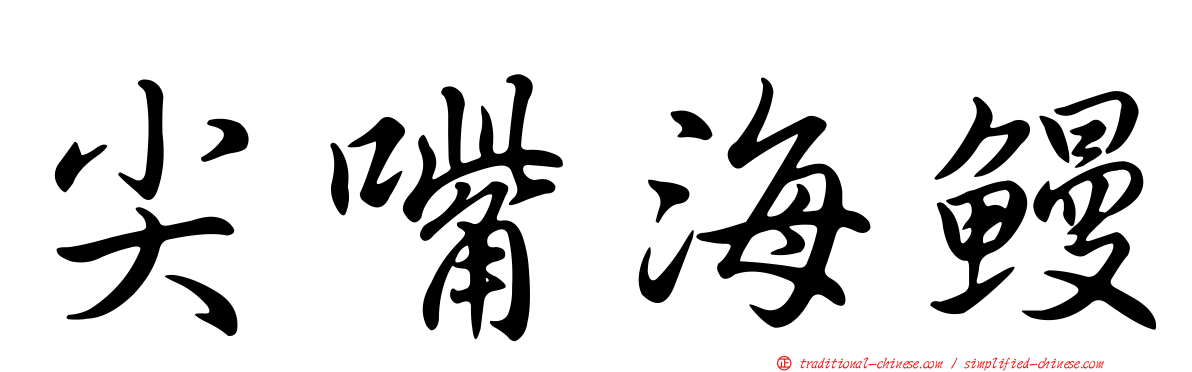尖嘴海鰻