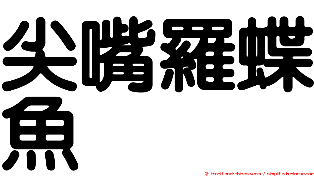 尖嘴羅蝶魚