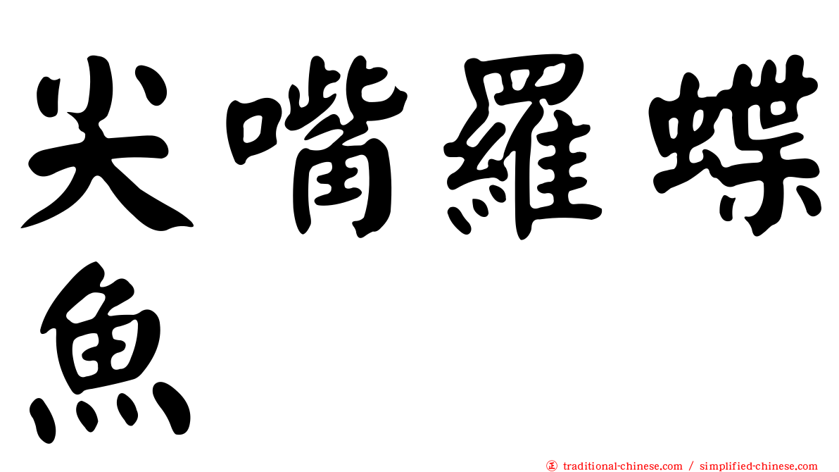 尖嘴羅蝶魚