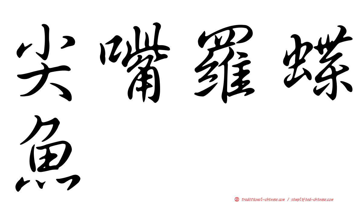 尖嘴羅蝶魚
