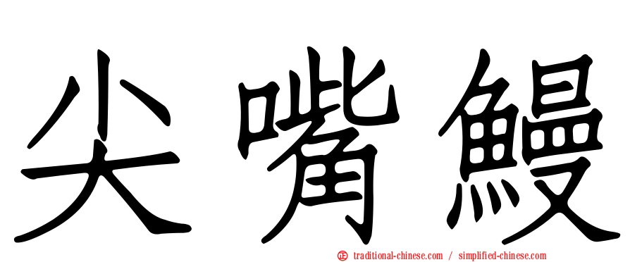 尖嘴鰻