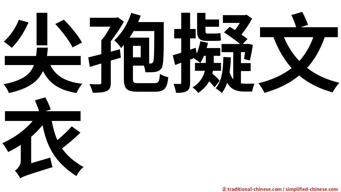尖孢擬文衣