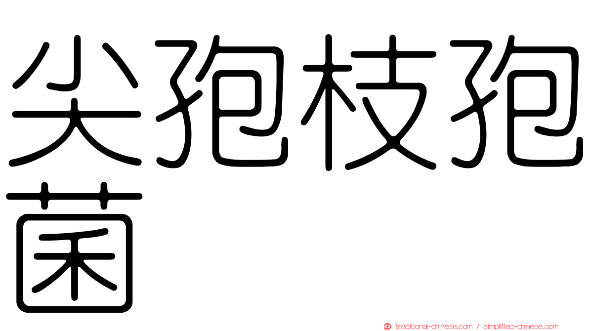 尖孢枝孢菌