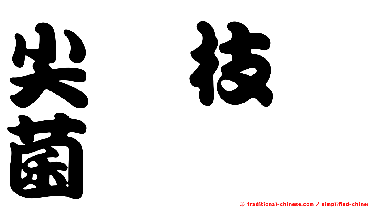 尖孢枝孢菌