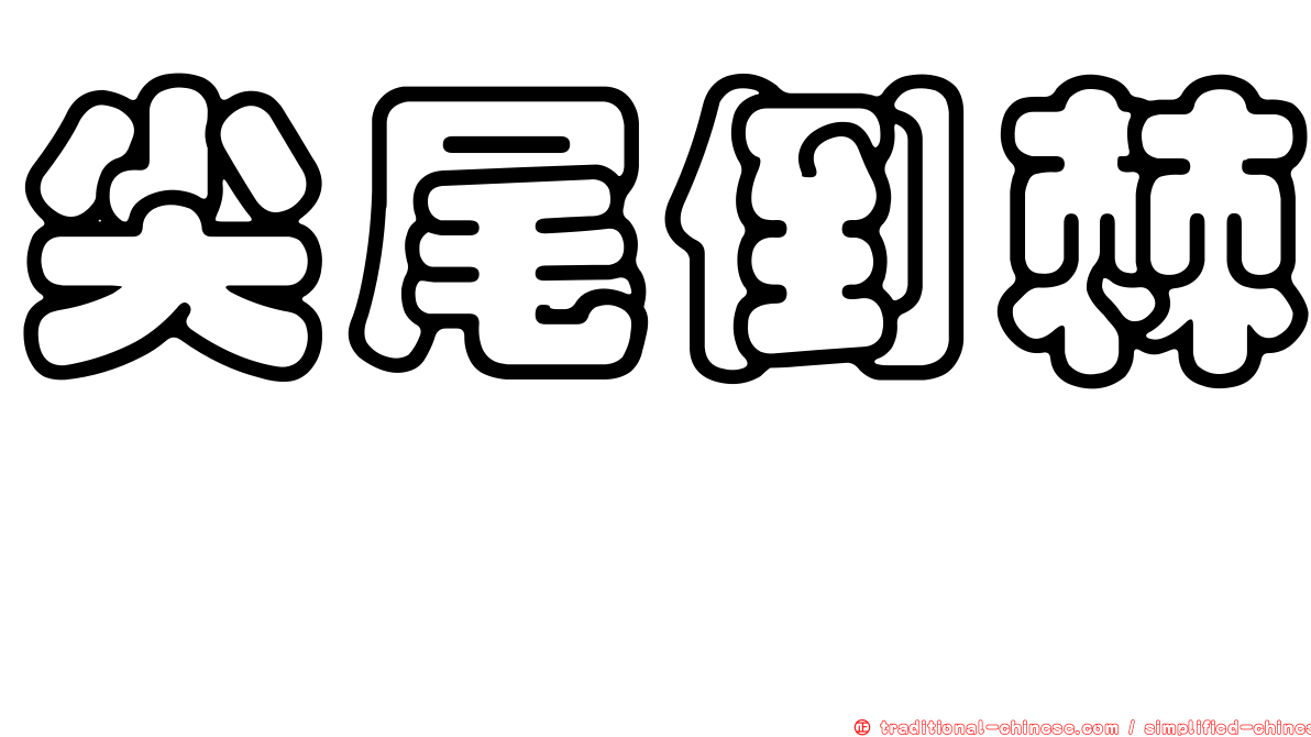 尖尾倒棘魨