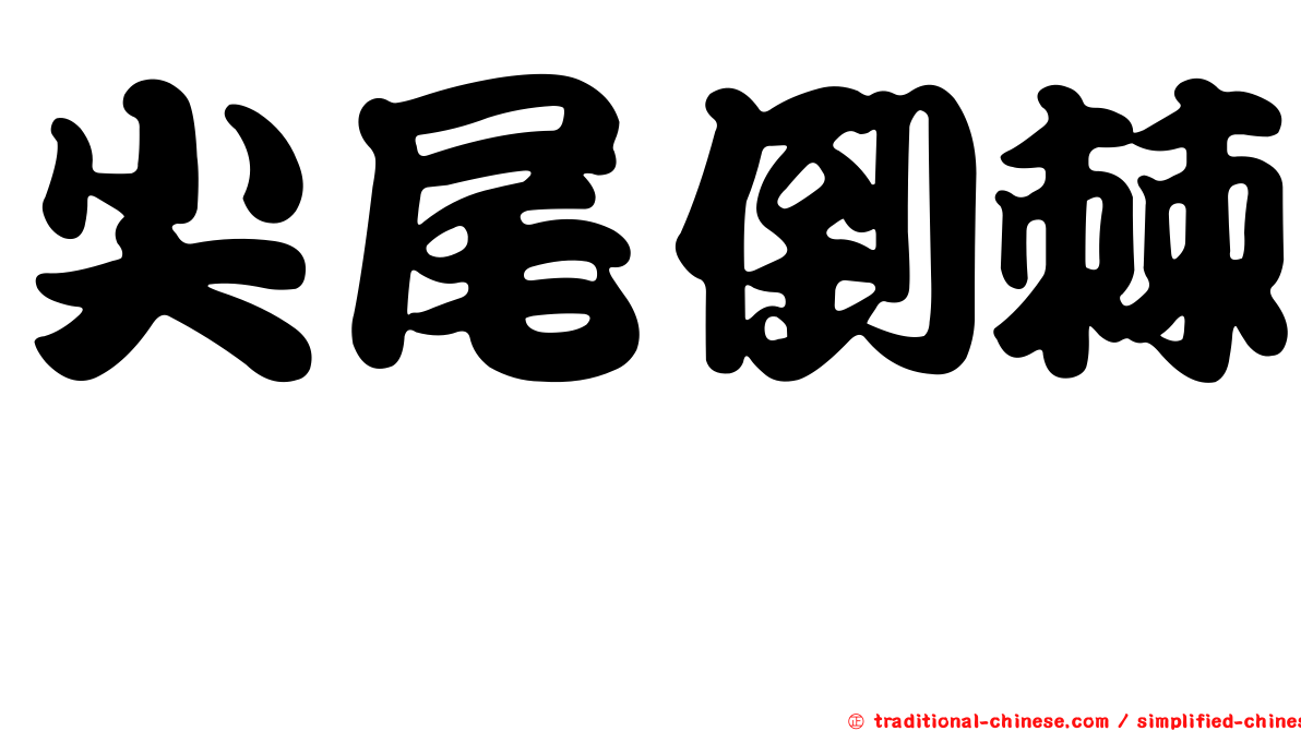 尖尾倒棘魨