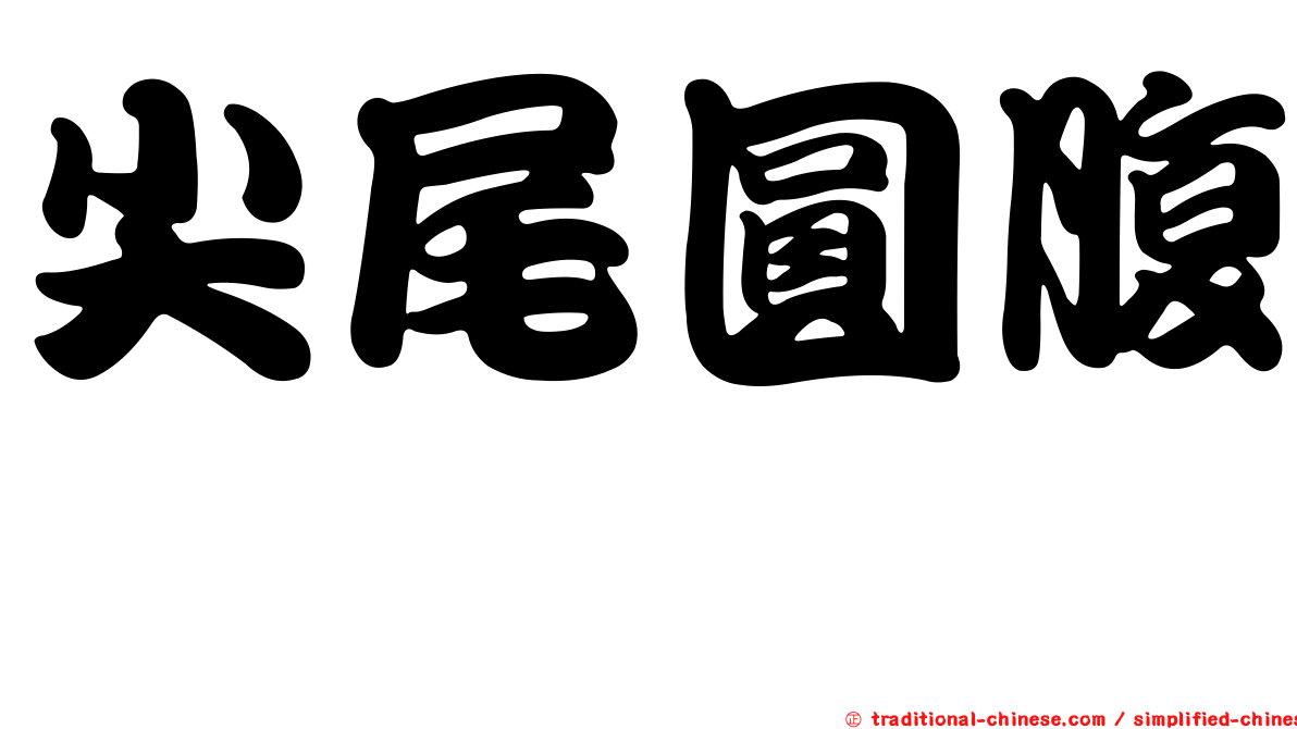 尖尾圓腹鯡