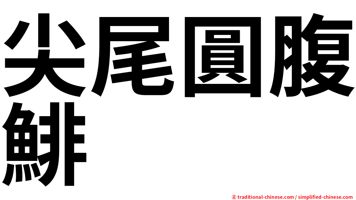 尖尾圓腹鯡