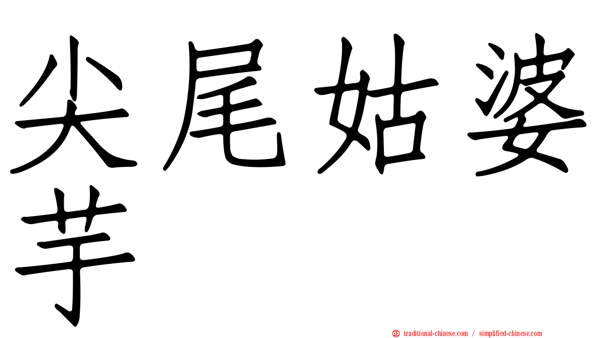 尖尾姑婆芋